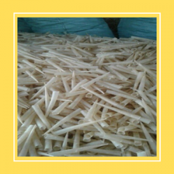 TUBE SHAPE
